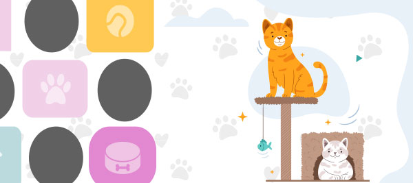 Colección Animales Colección Animales